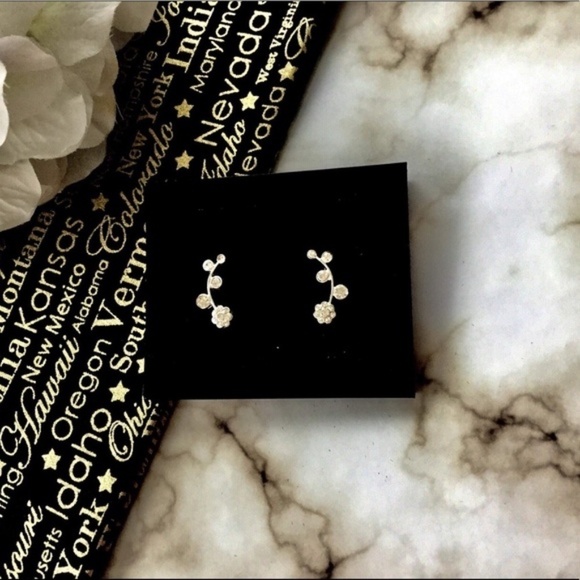 Hypoallergenic‎ Crawling Earring Silver Color NWT - Picture 3 of 5